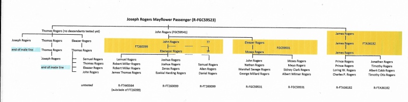 File:Rogers SNP Mutation tree.jpg